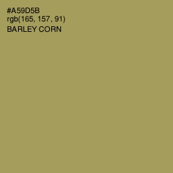 #A59D5B - Barley Corn Color Image